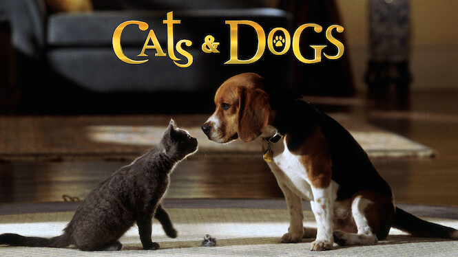 Cats and hot sale dogs netflix